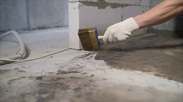 SJ Waterproofing Pros Interior Drainage System coverage map for Genesee, MI and surrounding area